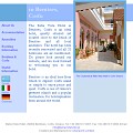 Bella Vista website example