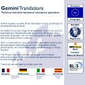 Gemini website example